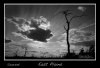 ©medici sunset E plains BW.jpg