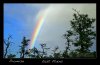 ©medici plains rainbow promise.jpg