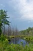 Pre-storm Wading at FPP (532x800).jpg