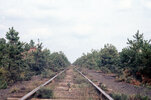 NJPB 22Sep1971 NJ Central RR tracks by Carranza Memorial. Wrecked cars visible on both sides o...jpg