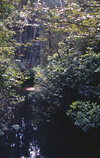 njpb pine branch creek 22sep1971.jpg