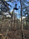IMG_5490.jpeg