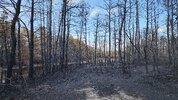 20250620_181213.jpg