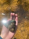 IMG_0004.jpeg