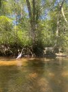 IMG_9995.jpeg