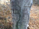 IMG_3918.jpeg