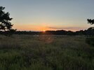 IMG_6642.jpeg