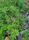 20250816_183019.jpg