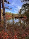 resizeIMG_1310.JPG