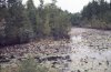 njpb, shoal branch river, one mile from duke's bridge, 22sep1971.jpg