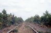NJPB 22Sep1971 NJ Central RR tracks by C Mem - wrecked cars.jpg