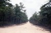 Sooey Road, north from Chatsworth Rd., NJPB 21sep1971.jpg