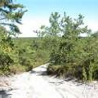 PineyLife