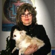 Sarah Whitcher Chenkin